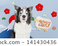一隻邊境牧羊犬直視鏡頭,背景是富士山-2027年(羊年)新年卡素材 一隻邊境牧羊犬直視鏡頭,背景是富士山-2027年(羊年)新年卡素材 141430436