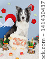 邊境牧羊犬和門松(新年裝飾):豆袋玩具和2027年(羊年)的第一道陽光 邊境牧羊犬和門松(新年裝飾):豆袋玩具和2027年(羊年)的第一道陽光 141430437