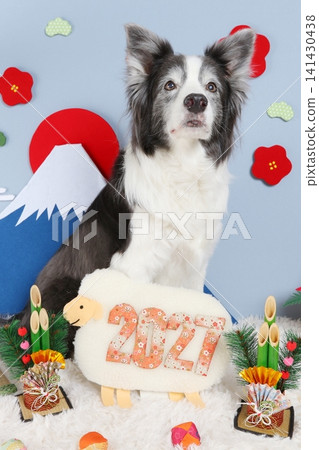 A New Year's card design featuring a Border Collie looking up at the blue sky, Mount Fuji, and the first sunrise of the year. A New Year's card design featuring a Border Collie looking up at the blue sky, Mount Fuji, and the first sunrise of the year. 141430438