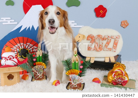 Kooikerhondje and the first sunrise of the year, Mt. Fuji and Kadomatsu (New Year's pine decorations) - New Year's card material for 2027 Kooikerhondje and the first sunrise of the year, Mt. Fuji and Kadomatsu (New Year's pine decorations) - New Year's card material for 2027 141430447