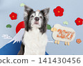 從下方仰望的邊境牧羊犬和富士山-2027年(羊年)新年卡素材 從下方仰望的邊境牧羊犬和富士山-2027年(羊年)新年卡素材 141430456
