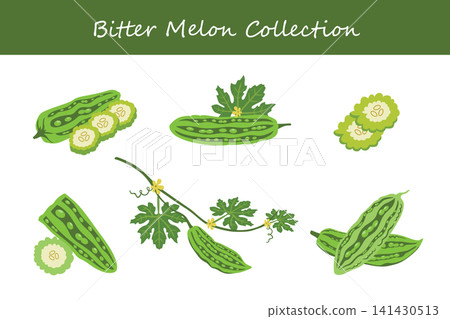 bitter melon collection bitter melon collection 141430513