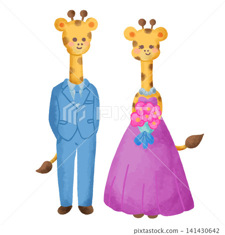 Watercolor illustration of a giraffe bride and groom in a suit and dress. Watercolor illustration of a giraffe bride and groom in a suit and dress. 141430642
