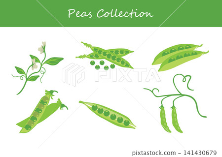 peas collection peas collection 141430679