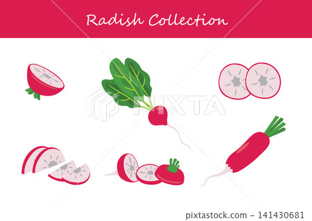 radish collection radish collection 141430681