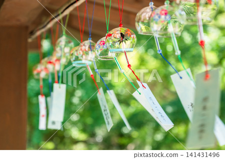 Wind chimes displayed in Suzumiya Park Wind chimes displayed in Suzumiya Park 141431496