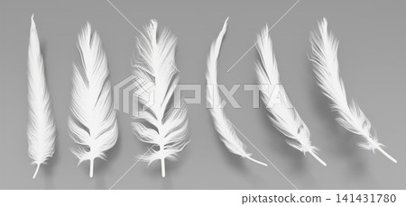 Bird feathers 3d set isolated on background. Beautiful plumes of white heron, swan, owl or goose for advertising down pillows, soft bedding textures, angel wings, lightweight concepts. 3D illustration Bird feathers 3d set isolated on background. Beautiful plumes of white heron, swan, owl or goose for advertising down pillows, soft bedding textures, angel wings, lightweight concepts. 3D illustration 141431780