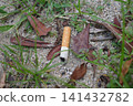 Cigarette butts and weeds littered in the park 141432782