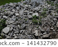 Large amounts of concrete rubble and weeds growing in the gaps 141432790