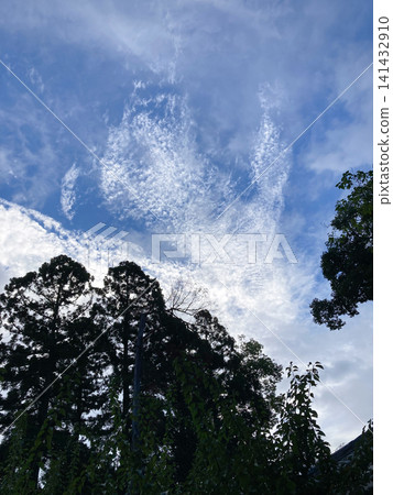 A landscape of white clouds and trees spread across a blue sky. A landscape of white clouds and trees spread across a blue sky. 141432910