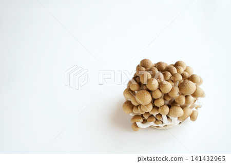 Buna shimeji mushrooms placed on a white background. Copy space. Buna shimeji mushrooms placed on a white background. Copy space. 141432965