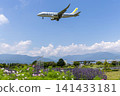 飛機滑翔在夏日的天空 141433181
