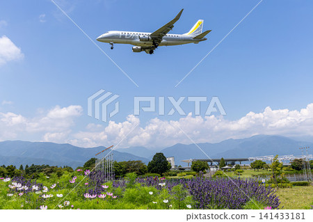 飛機滑翔在夏日的天空 飛機滑翔在夏日的天空 141433181