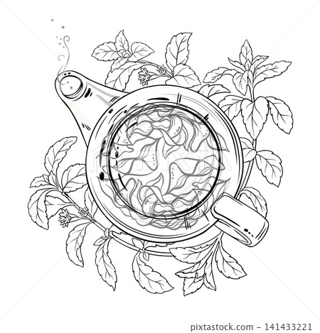 Stevia Tea in Teapot Outline Illustration. Stevia Tea in Teapot Outline Illustration. 141433221