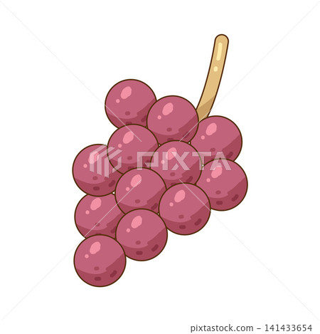 Illustration of grape Illustration of grape 141433654