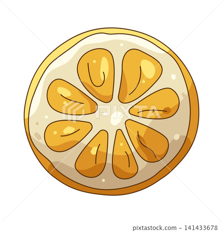 Illustration of orange slice Illustration of orange slice 141433678