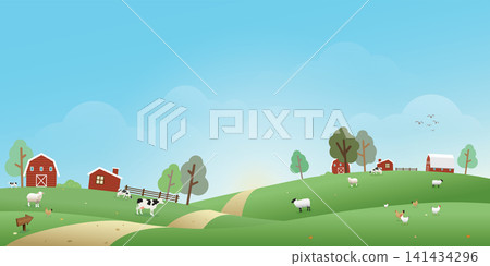 Rural landscape in the morning vector illustration with blank space. Livestock flat design for eco or daily products advertisement. Rural landscape in the morning vector illustration with blank space. Livestock flat design for eco or daily products advertisement. 141434296