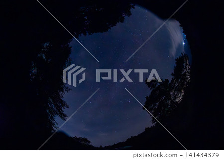Starry sky Starry sky 141434379
