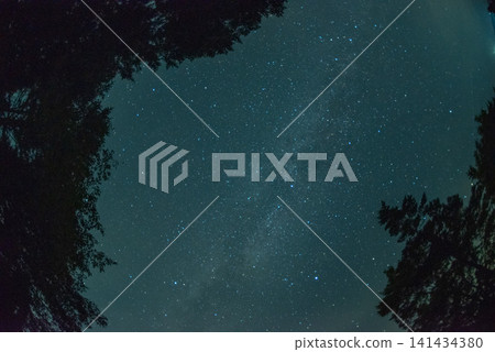 Starry sky Starry sky 141434380