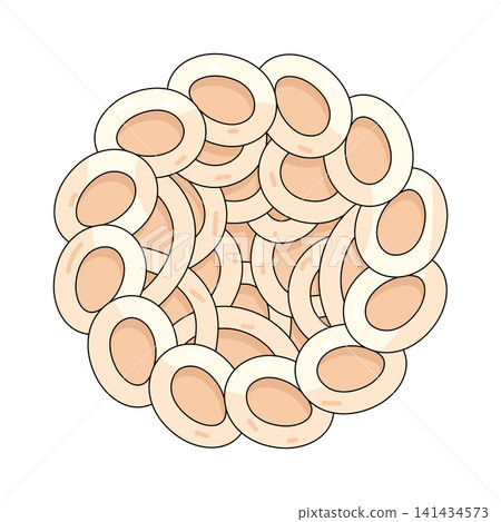 Illustration of kerupuk Illustration of kerupuk 141434573