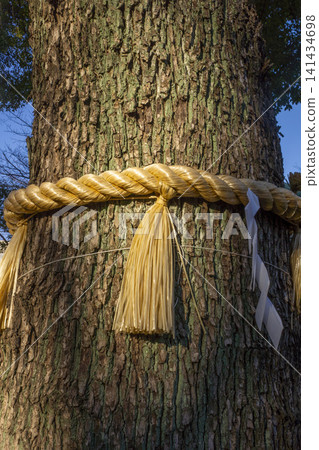 A rope and paper streamers to celebrate the sacred tree. A rope and paper streamers to celebrate the sacred tree. 141434698