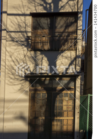 The shadow of a large ginkgo tree covering the wall of a private house - Bunkyo Ward 141434700