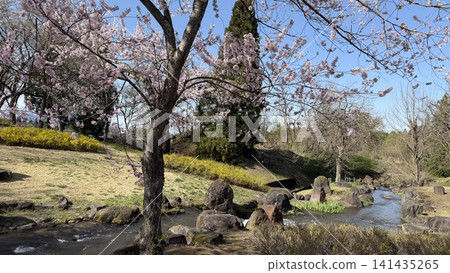 Izumi Jomon Park [Nakago Ward, Joetsu City, Niigata Prefecture] 141435265