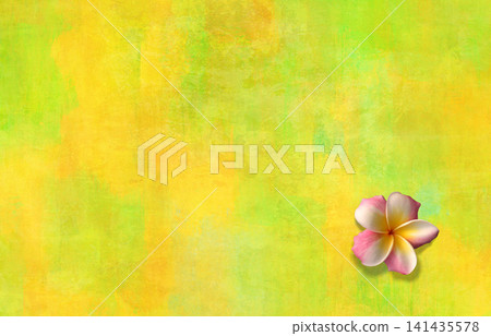 美麗的夏季花朵雞蛋花，映襯著黃綠色的復古背景。 141435578