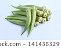 Salad okra (white okra) 141436329