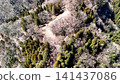 從空中俯瞰位於但馬國的八木城，這是一座山城，圖中可以看到城堡的外堡和石牆。 141437086