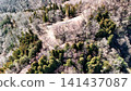從空中俯瞰位於但馬國的八木城，這是一座山城，圖中可以看到城堡的外堡和石牆。 141437087