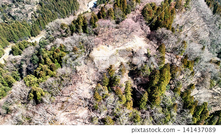 Aerial view of Yagi Castle, a mountain castle in Tajima Province, showing the baileys and stone walls. 141437089