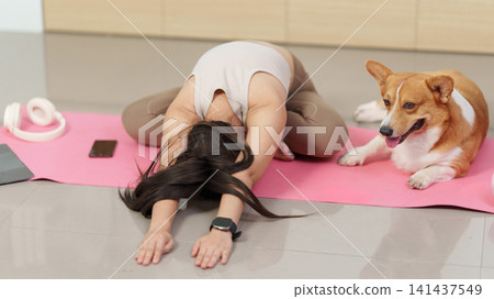 Faceless woman stretching on yoga mat at home with her corgi dog Faceless woman stretching on yoga mat at home with her corgi dog 141437549