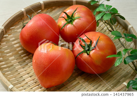 Fresh, ripe tomatoes served in a bamboo basket Fresh, ripe tomatoes served in a bamboo basket 141437965