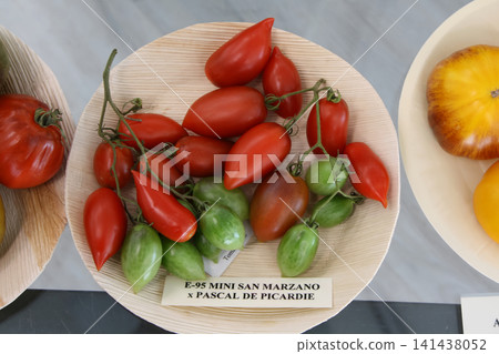 Top-Down View of Mini Red and Green Plum Tomatoes on the Vine Top-Down View of Mini Red and Green Plum Tomatoes on the Vine 141438052