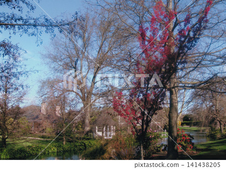 基督城花園⑥ 基督城花園⑥ 141438205
