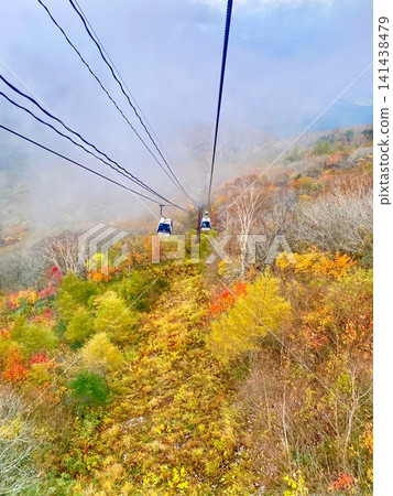 阿達塔拉山索道的秋葉 阿達塔拉山索道的秋葉 141438479