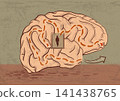 Mind labyrinth 141438765