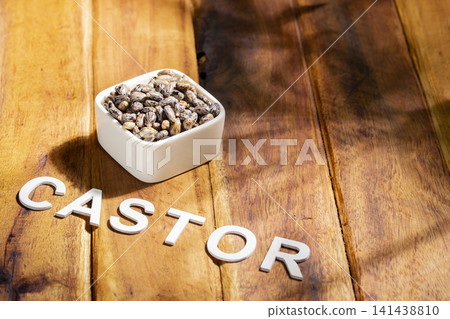 castor seeds and oil, on wooden surface, royalty free castor seeds and oil, on wooden surface, royalty free 141438810
