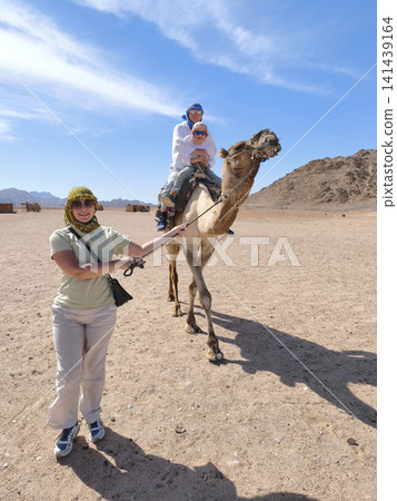 Family adventure in the desert: father and son ride a camel while mother leads the animal across golden sands under a bright blue sky, capturing a joyful moment of bonding and exploration. 141439164