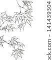Autumn deepens, maple leaves Autumn deepens, maple leaves 141439304