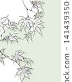 Autumn deepens, maple leaves Autumn deepens, maple leaves 141439350