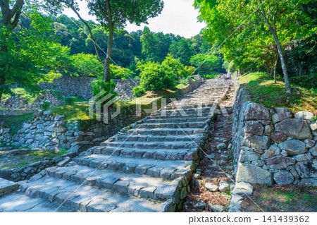 Stone steps of the main approach to Azuchi Castle ruins, Omihachiman City, Shiga Prefecture Stone steps of the main approach to Azuchi Castle ruins, Omihachiman City, Shiga Prefecture 141439362