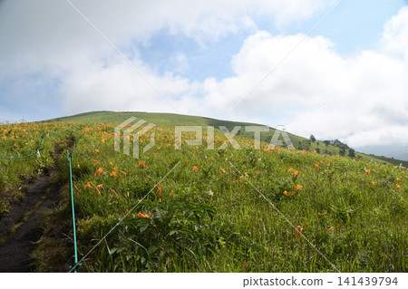 Nikkokusge的山 141439794