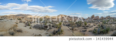 Granite boulder landscape in Joshua Tree National Park Granite boulder landscape in Joshua Tree National Park 141439944