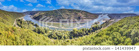 Panorama of the Urphar Main Loop near Wertheim with vineyards and river landscape 141439947