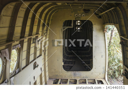 Abandoned Aircraft Interior with Forest View Abandoned Aircraft Interior with Forest View 141440351