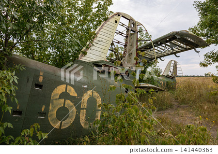 Abandoned An-2 Aircraft in Overgrown Vegetation Abandoned An-2 Aircraft in Overgrown Vegetation 141440363