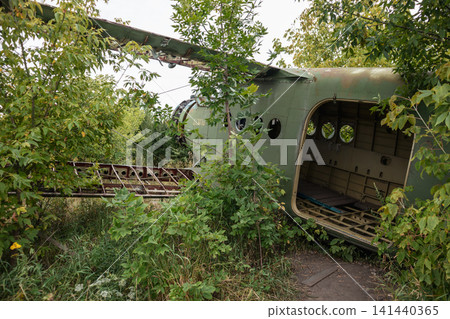 Abandoned Military Aircraft in Overgrown Airfield Abandoned Military Aircraft in Overgrown Airfield 141440365