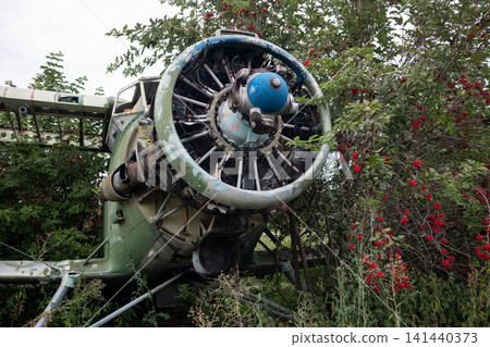 Abandoned Aircraft Engine Surrounded by Greenery Abandoned Aircraft Engine Surrounded by Greenery 141440373